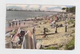 44 - ST-BREVIN Les PINS - Plage Avec Vue Sur Chantiers De St-Nazaire - Animation Baigneurs Filet Volley-ball - Voleibol