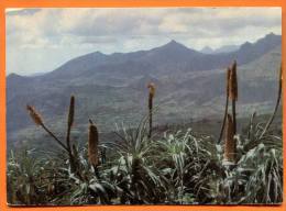 ETHIOPIA - A Mountain Range , Debra Sina . Tarma Ber - Ethiopie