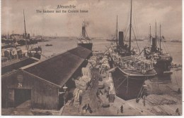 ALEXANDRIE  THE HARBOUR AND THE CUSTOM HOUSE - Alexandria