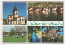 VILLARS LES DOMBES - L'église - Le Golf - Le Parc Ornithologique De La Dombe - La Poype (animée, Paon, Flamants Roses) - Villars-les-Dombes
