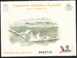 1991-PRUEBA Nº 24-EXFILNA'91.MADRID. LA PREDERA DE S. ISIDRO DE GOYA-NUEVO - Proofs & Reprints