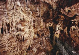Cp , MONACO , Grotte Du Jardin-Exotique - Exotische Tuin