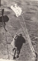 SAUT EN PARACHUTE  /////   MARS 14 / REF 1854 - Parachutting