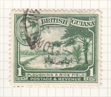 KING GEORGE VI - 1938 - British Guiana (...-1966)