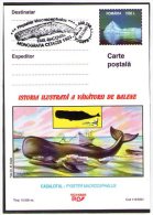 Whale 2 Cards. Turda 2004. - Whales