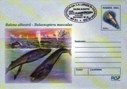 Whales 5 Postal Stationaries . Bucuresti2003. - Wale