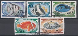 Animaux Nrd.Korea 1991 Oblitérés / Used / Gestempeld - Fishes