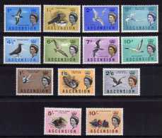 Ascension - 1963 - Birds Definitives (Part Set) - MH - Ascension (Ile De L')