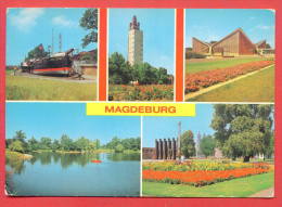 142882 / Magdeburg -  SHIP , ADOLF MITTAG SEE , BLICK ZUM PFERDETOR - Deutschland Germany Allemagne Germania - Magdeburg