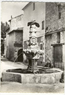 PERNES LES FONTAINES. - La Fontaine Du Cormoran. CPM Dentelée - Pernes Les Fontaines