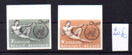 1962  Droits De L'Homme, Michel-Angelo, 1231 / 1232**n D (tirage De 300 Ex), Nations Unies  UNO  ONU Human Rights - 1961-1980