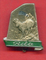 F1291 / RILA MONTAIN - The Chamois (Rupicapra Rupicapra) Chamois DEER  Bulgaria Bulgarie Bulgarien Bulgarije - Badge Pin - Alpinismo, Escalada