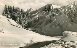 Allemagne - Germany - Bavière - Freising - Am Langenbach Bei Steibis I. Allgäu - état - Freising