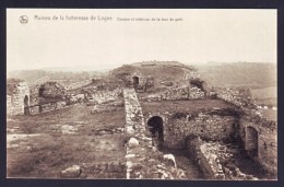 Ruines De La Forteresse De LOGNE - Donjon Et Intérieur De La Tour De Guêt // - Ferrieres