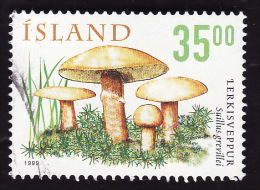 ISLANDE 1999  -  YT 868 -  Suillus Grevillei  -  Oblitéré - Gebruikt