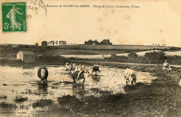 IVORY Environs De SALINS LES BAINS (39) étang De Loisy Vaches - Andere & Zonder Classificatie