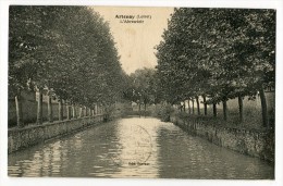 Ref 193 - ARTENAY - L'Abreuvoir - Artenay