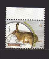 Romania - ° 2013 -  Animali Lepre.  Bordo Di Foglio - Used Stamps