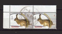 Romania - ° 2013 -  Animali Lepre.  Angolo Di Foglio - Used Stamps