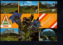 F1538 Ehrwald An Der Zugspitze - Nice Stamp And Timbre - Reutte