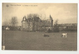 Ham Sur-Heure  *  Le Chateau Vu Des Prairies - Ham-sur-Heure-Nalinnes