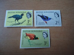 Britisch-Honduras: 3 Werte Vögel (1962) - British Honduras (...-1970)