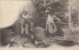 TONKIN / NAM DINH  DECORTICATION DU RIZ     /////   MARS 14 / REF 1904 - Tíbet