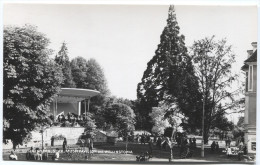 Austria, BAD GLEICHENBERG, Musikpavillon Und Wellingtonia, 1957. - Bad Gleichenberg