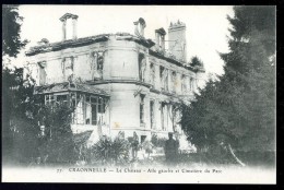 Cpa  Du 02 Craonnelle Le Château  Aile Gauche Et Cimetière Du Parc  ...  Craonne Laon  HDK3 - Craonne