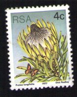 Afrique Du Sud 1977 Timbre Used Stamp Fleur Flower Protea Longifolia - Usati