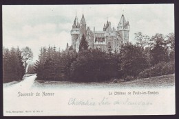 Souvenir De Namur - Le Château De FAULX-LES-TOMBES    // - Gesves