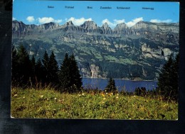 F1603 Flumserberge :Ausblick Auf Walensee Und Churfirtsten  - Suisse - Flums