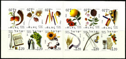 ISRAEL...1996...12 CALENDAR MONTH...BOOKLET...BALE 36...MNH. - Carnets