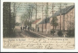 Environs De Turnhout - Ferme Du Lint - 1904 - Turnhout