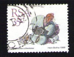 Afrique Du Sud 1988 Oblitération Ronde Used Stamp Fleur Flower Dinteranthus Wilmotianus - Usados