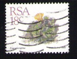 Afrique Du Sud 1989 Oblitéré Used Stamp Fleur Flower Faucaria Tigrina - Gebraucht