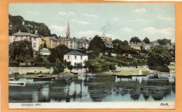 Sundays Well Cork Ireland 1905 Postcard - Cork