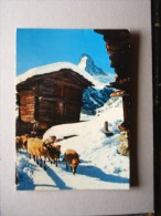 Switzerland-  Winkelmatten Bei Zermatt   D115192 - Matten Bei Interlaken
