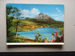 Ireland -  Errigal Mountain  From Gweedore - Donegal   Ireland    D115221 - Donegal