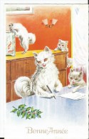 Delcampe - CPSM - Chat Humanisé - - Cats