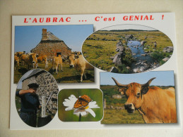 (A17E) Les Mont D´ Aubrac - Aumont Aubrac