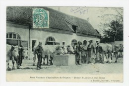 GRIGNON - Ecole Nationale D'Agriculture - Retour De Plaine à Onze Heures - Grignon