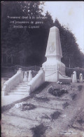 MONUMENT PRO PATHIA  AUX PRISONNIERS DE GUERRE DECEDES EN CAPTIVITE CP PHOTO - Cementerios De Los Caídos De Guerra