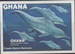 Ghana. Humpback Dolphin. 1983. MNH SS. SCV = 6.50 - Dolphins