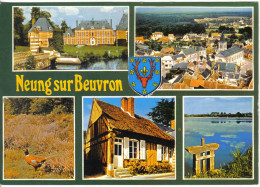 Carte Postale 41. Neug-sur-Beuvron  Trés Beau Plan - Neung Sur Beuvron