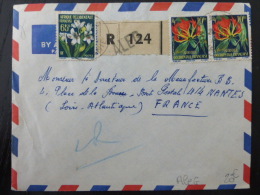 LETTRE  RECOMMANDE DE ALEG MAURITANNIE 1960  => FRANCE      COVER   FLEURS - Brieven En Documenten