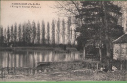 91 BALLANCOURT - L'étang Du Nouveau Parc N° 1 - Ballancourt Sur Essonne