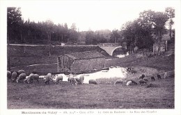 CPA 43 Montfaucon-du-Velay - Le Pont De La Rochette - Le Bois Des Blondes - Animée - Montfaucon En Velay