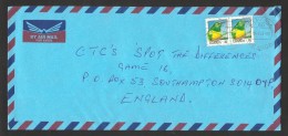 Ouganda Oiseau Coucou Foliotocol 1992 Lettre Voyagé 1999 Uganda Bird African Emerald Cuckoo 1992 On Cover 1999 - Cuckoos & Turacos