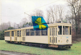 BRUXELLES - TRAMWAYS "Ligne 81" - Photo-carte Couleur - Public Transport (surface)